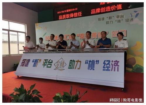 上海奉賢黃桃(tao)香(xiang)飄香(xiang)港，技術(shu)賦(fu)能(neng)開啟(qi)高品(pin)質(zhi)農(nong)產品(pin)出口新(xin)篇章(zhang)